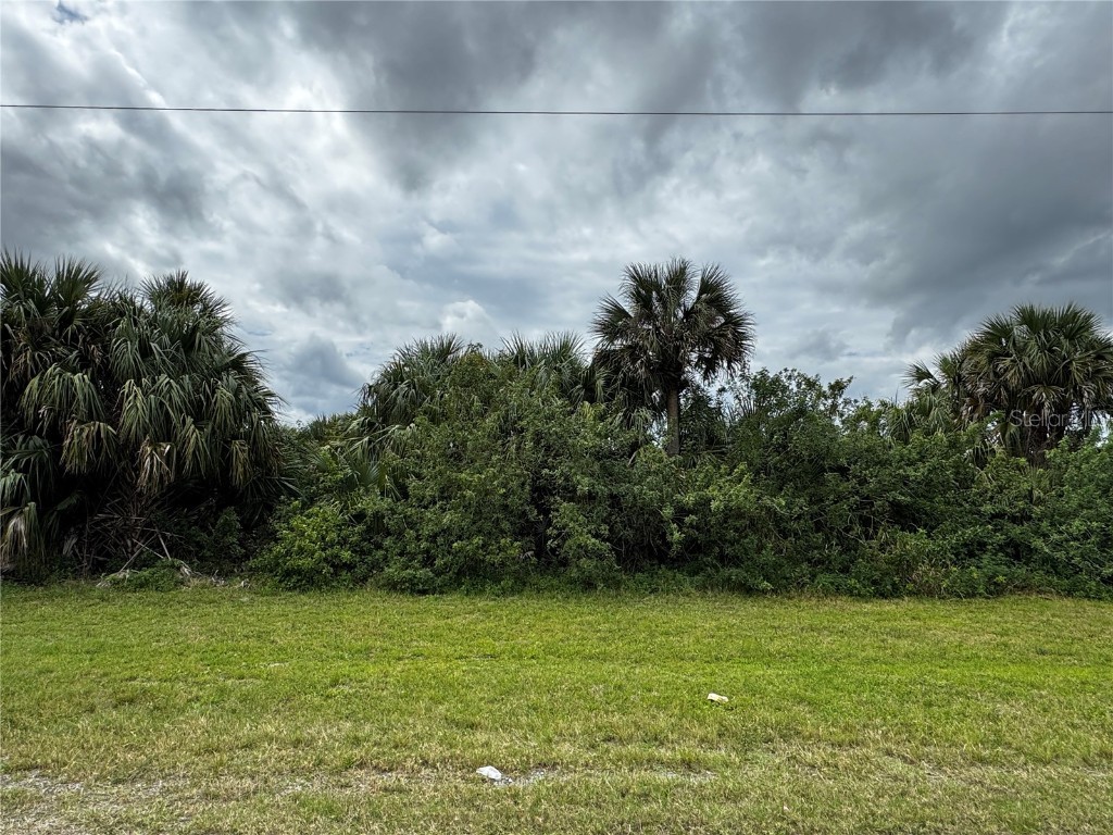 1940 Madden Ave Sw Palm Bay FL 32908 S5121301 image2