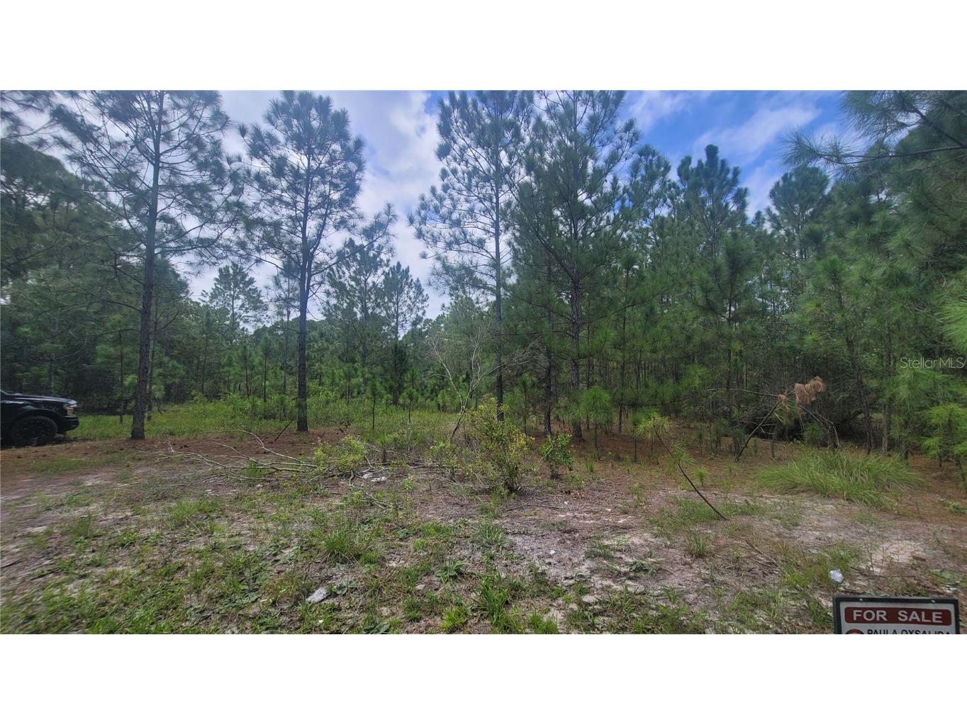 1940 S Gabriel Road Avon Park FL 33825 OM663787 image1