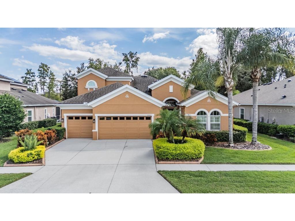 19402 Autumn Chase Court Land O Lakes FL 34638 TB8439736 image1