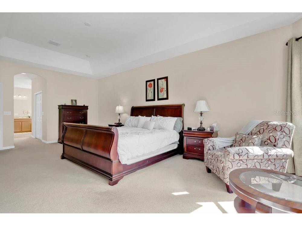 19402 Sweet Grass Way Lutz FL 33558 O6372962 image17