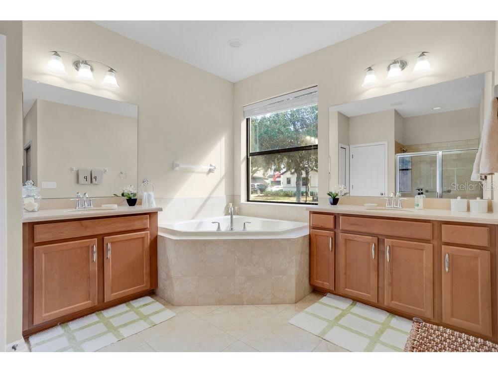 19402 Sweet Grass Way Lutz FL 33558 O6372962 image19