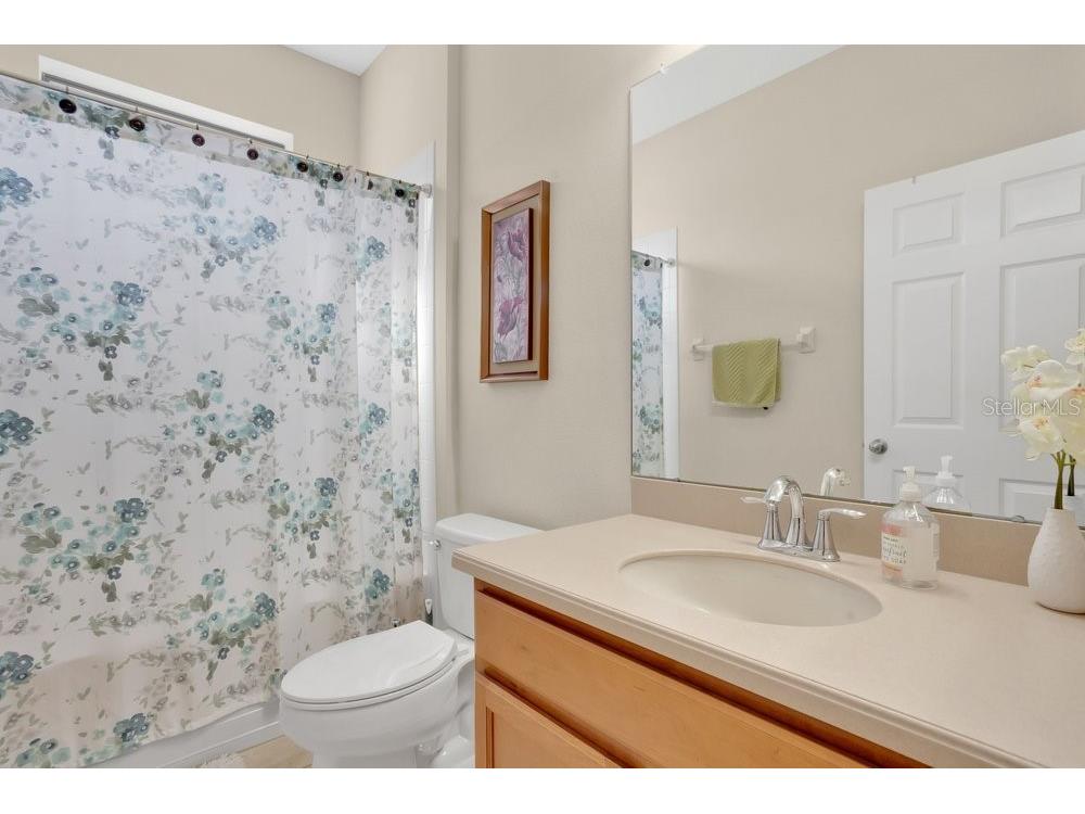 19402 Sweet Grass Way Lutz FL 33558 O6372962 image21