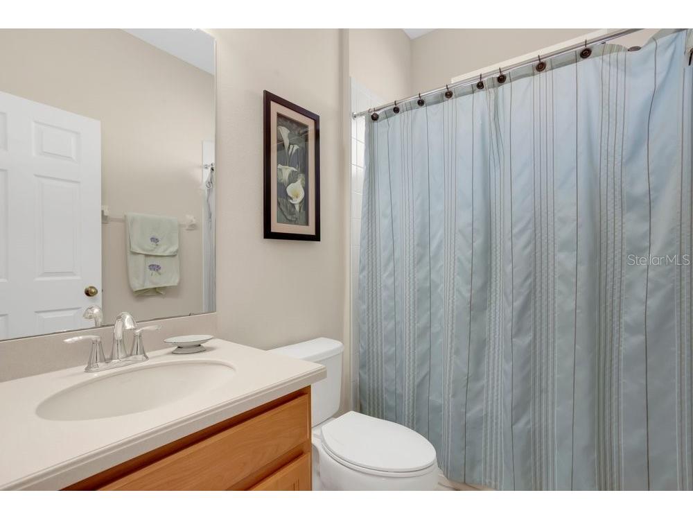19402 Sweet Grass Way Lutz FL 33558 O6372962 image24