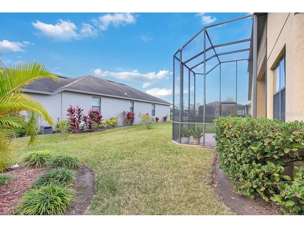 19402 Sweet Grass Way Lutz FL 33558 O6372962 image31