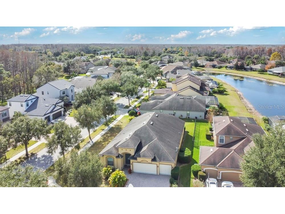 19402 Sweet Grass Way Lutz FL 33558 O6372962 image33