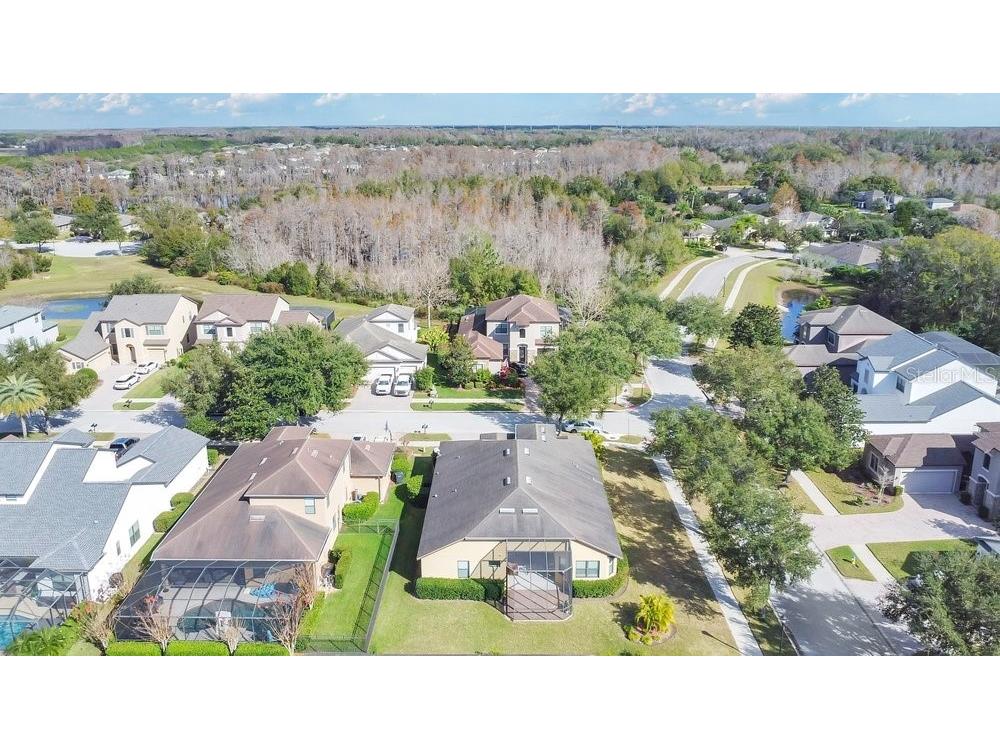 19402 Sweet Grass Way Lutz FL 33558 O6372962 image35