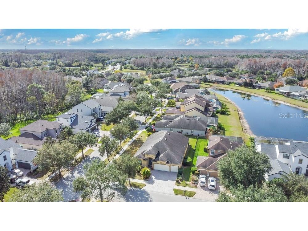 19402 Sweet Grass Way Lutz FL 33558 O6372962 image37