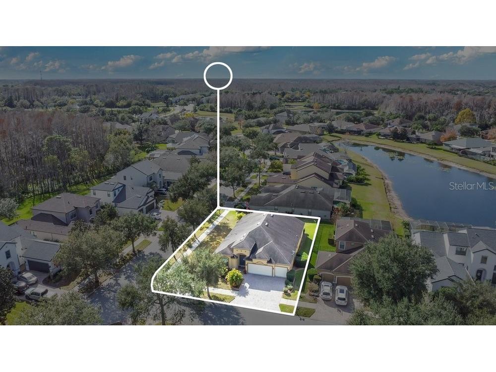 19402 Sweet Grass Way Lutz FL 33558 O6372962 image38