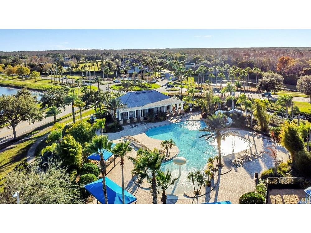19402 Sweet Grass Way Lutz FL 33558 O6372962 image39