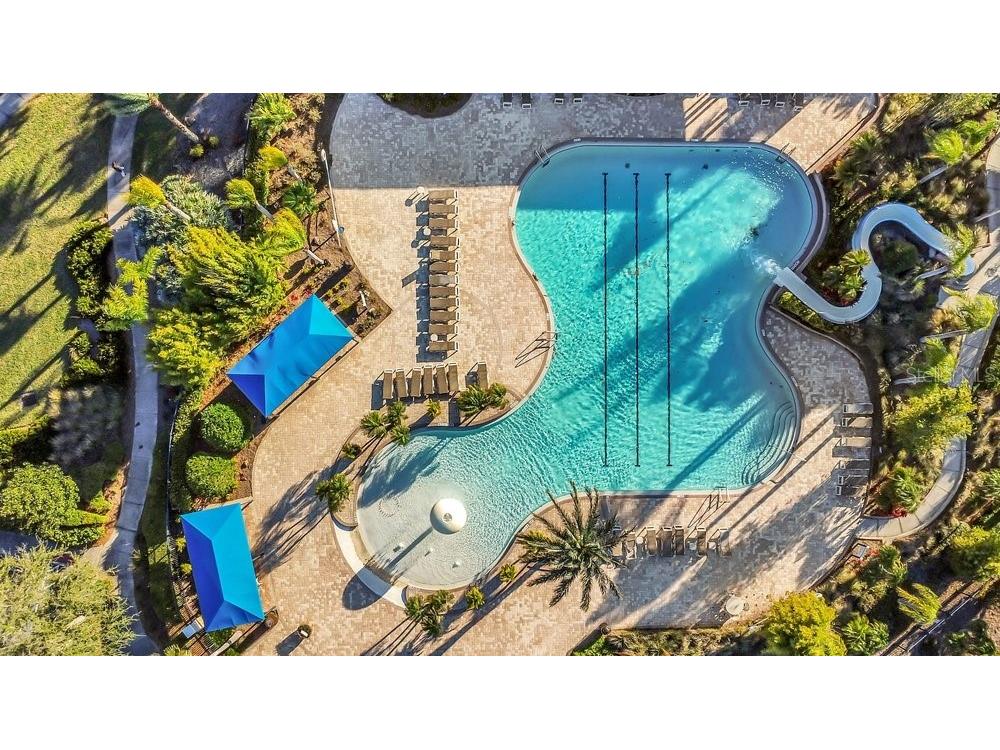 19402 Sweet Grass Way Lutz FL 33558 O6372962 image41