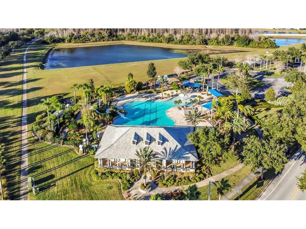 19402 Sweet Grass Way Lutz FL 33558 O6372962 image42