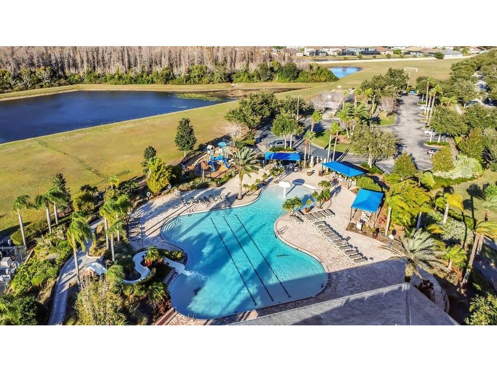 19402 Sweet Grass Way Lutz FL 33558 O6372962 image43