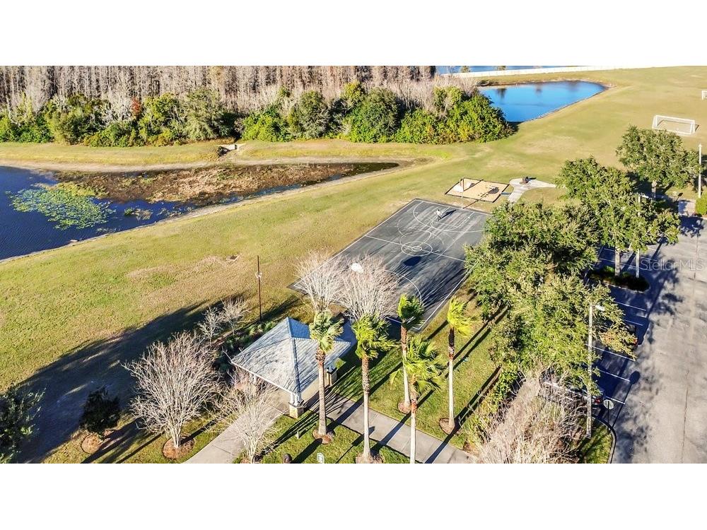 19402 Sweet Grass Way Lutz FL 33558 O6372962 image44