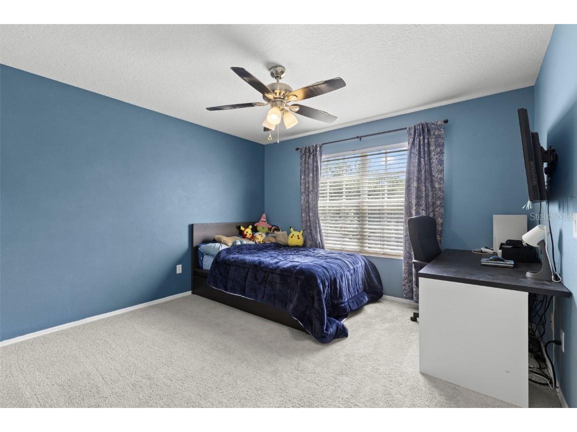 19406 Golden Slipper Place Lutz FL 33558 TB8410739 image27