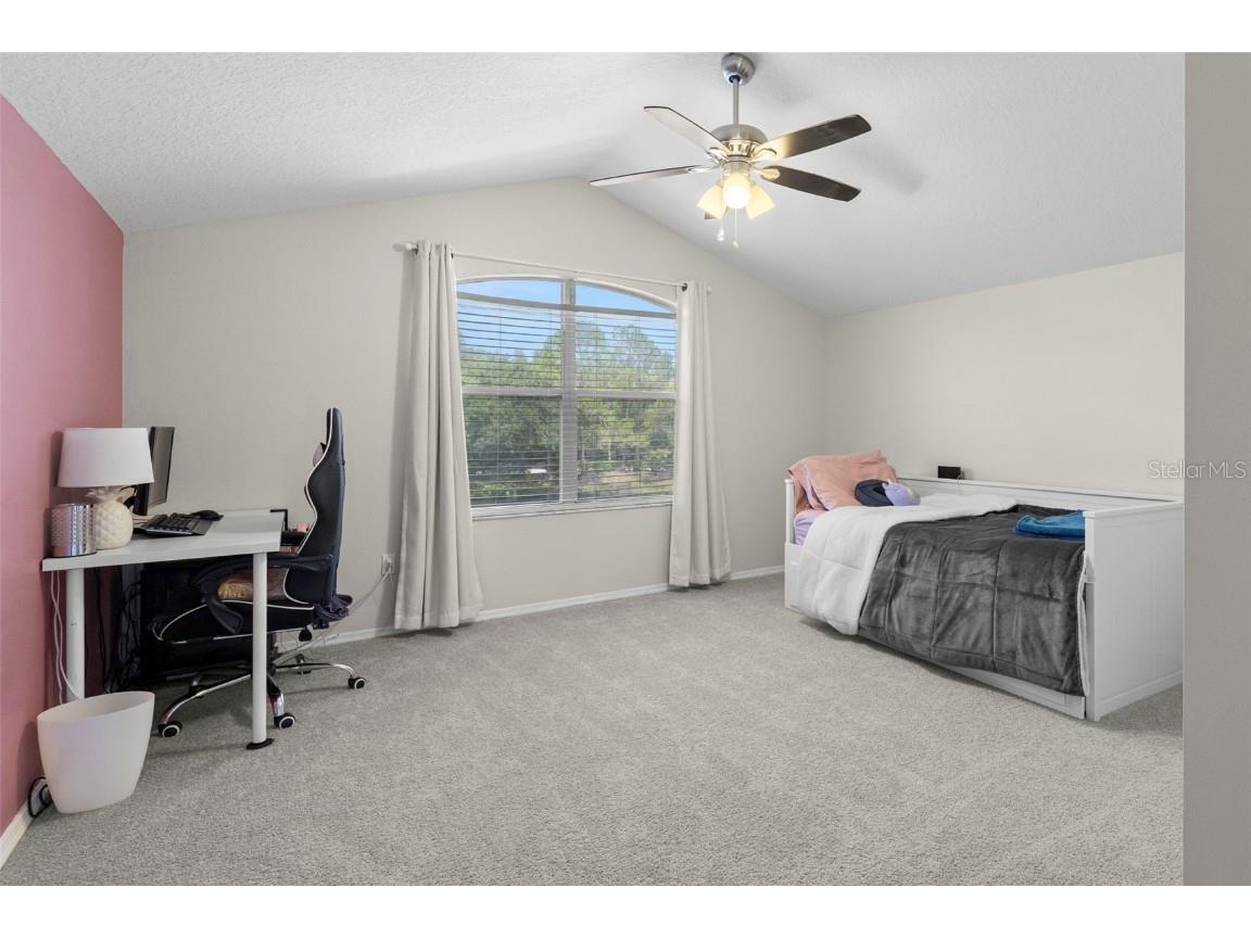 19406 Golden Slipper Place Lutz FL 33558 TB8410739 image28