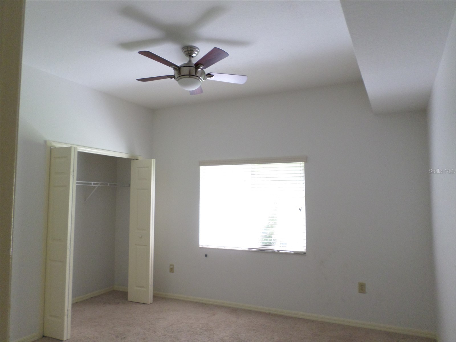 19407 Sandy Springs Circle Lutz FL 33558 TB8502393 image15