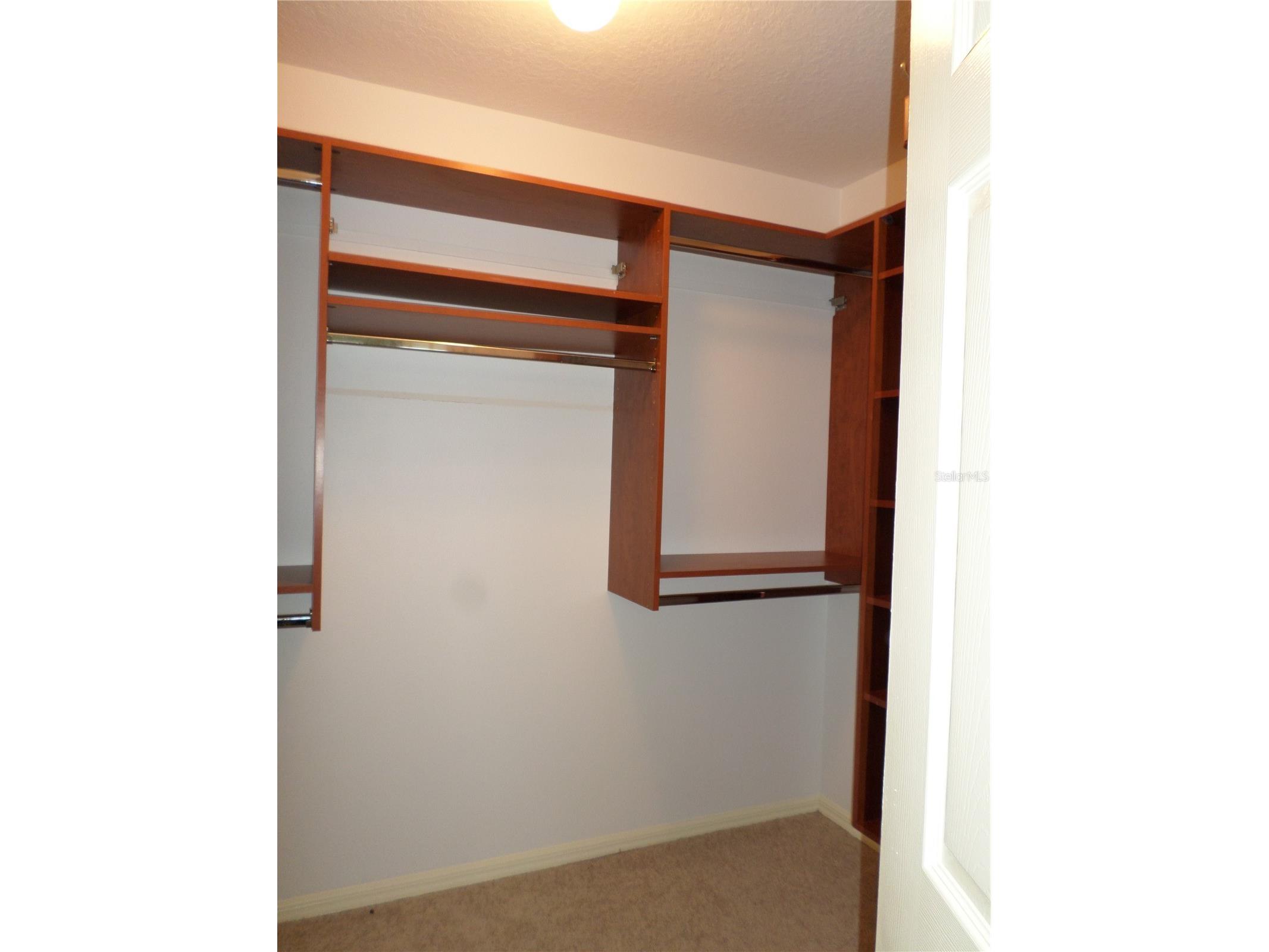 19407 Sandy Springs Circle Lutz FL 33558 TB8502393 image17