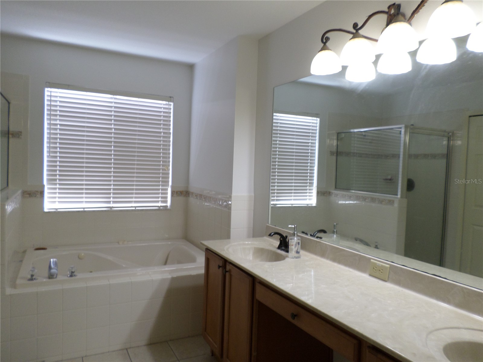 19407 Sandy Springs Circle Lutz FL 33558 TB8502393 image18