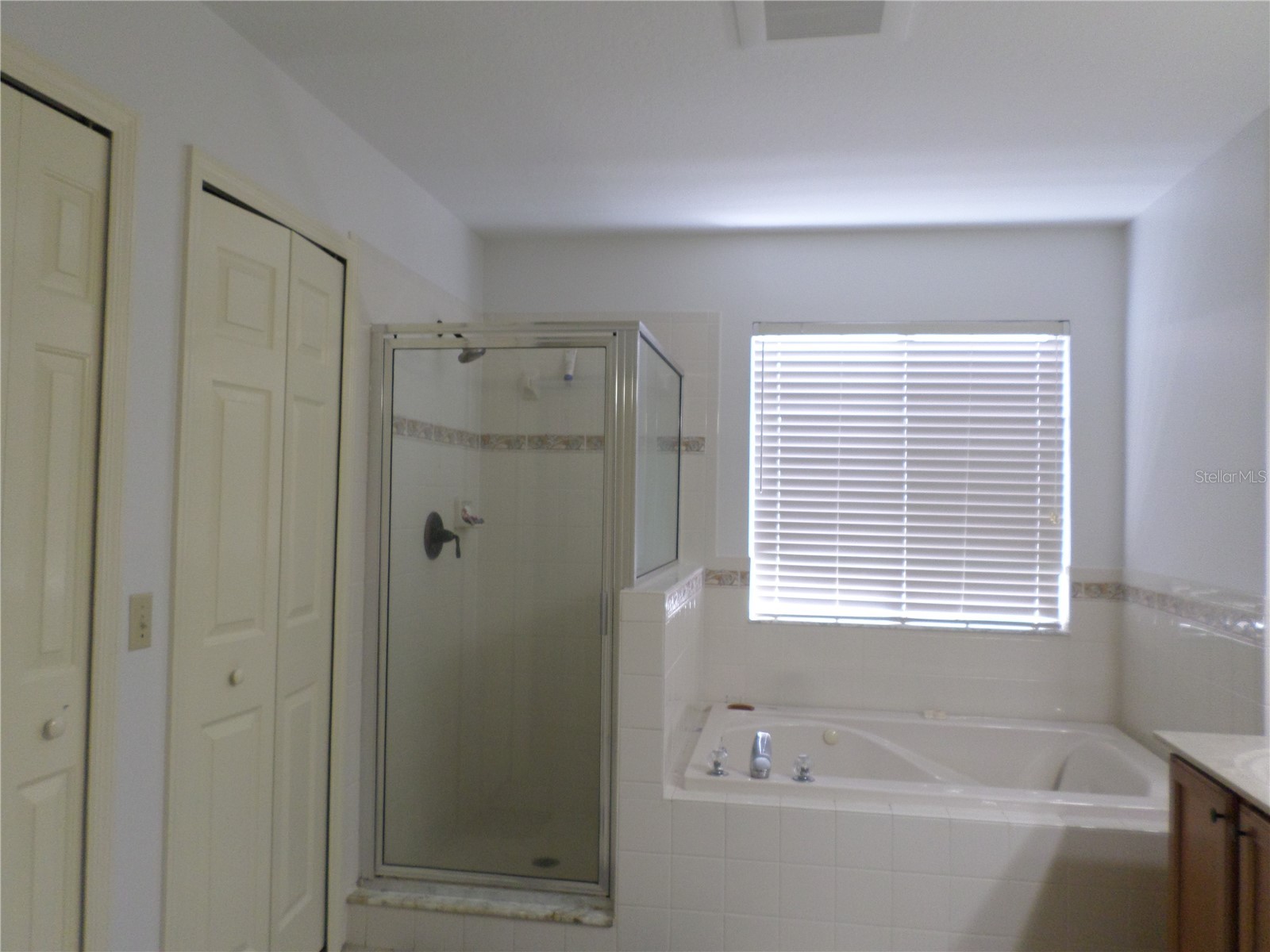 19407 Sandy Springs Circle Lutz FL 33558 TB8502393 image19