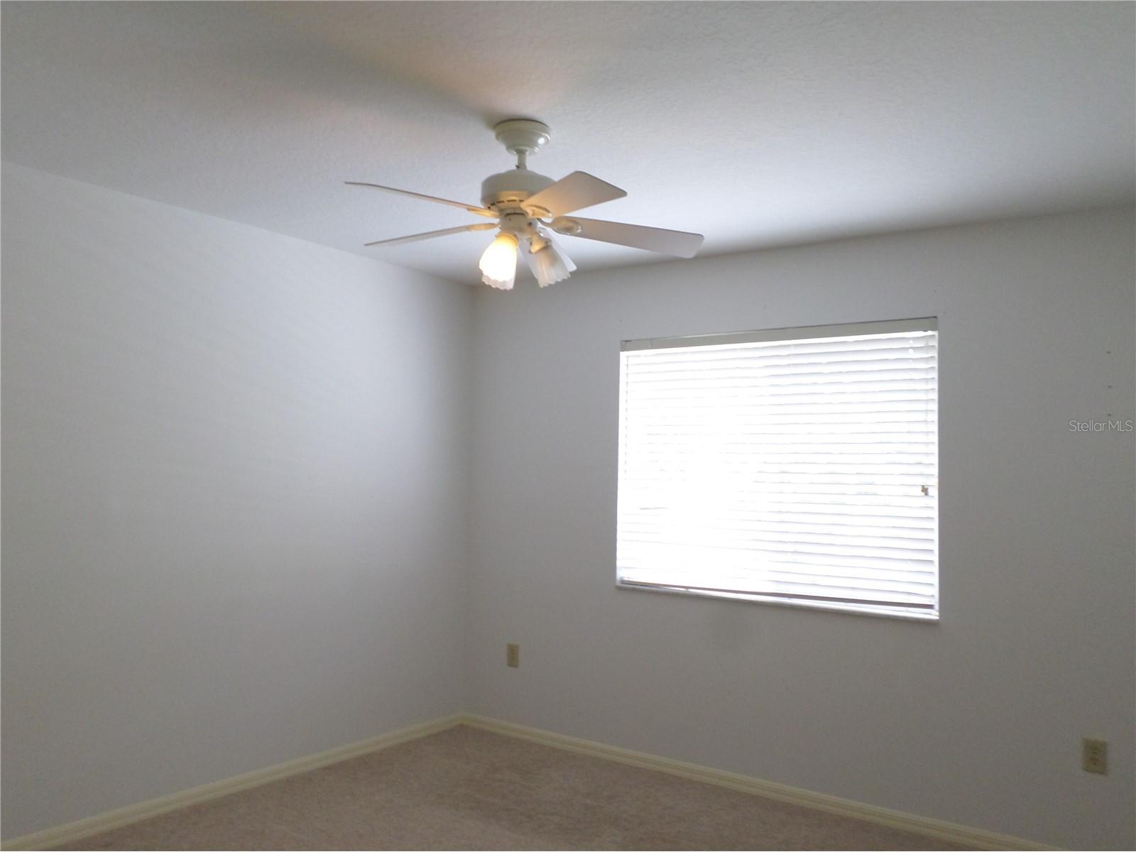 19407 Sandy Springs Circle Lutz FL 33558 TB8502393 image20