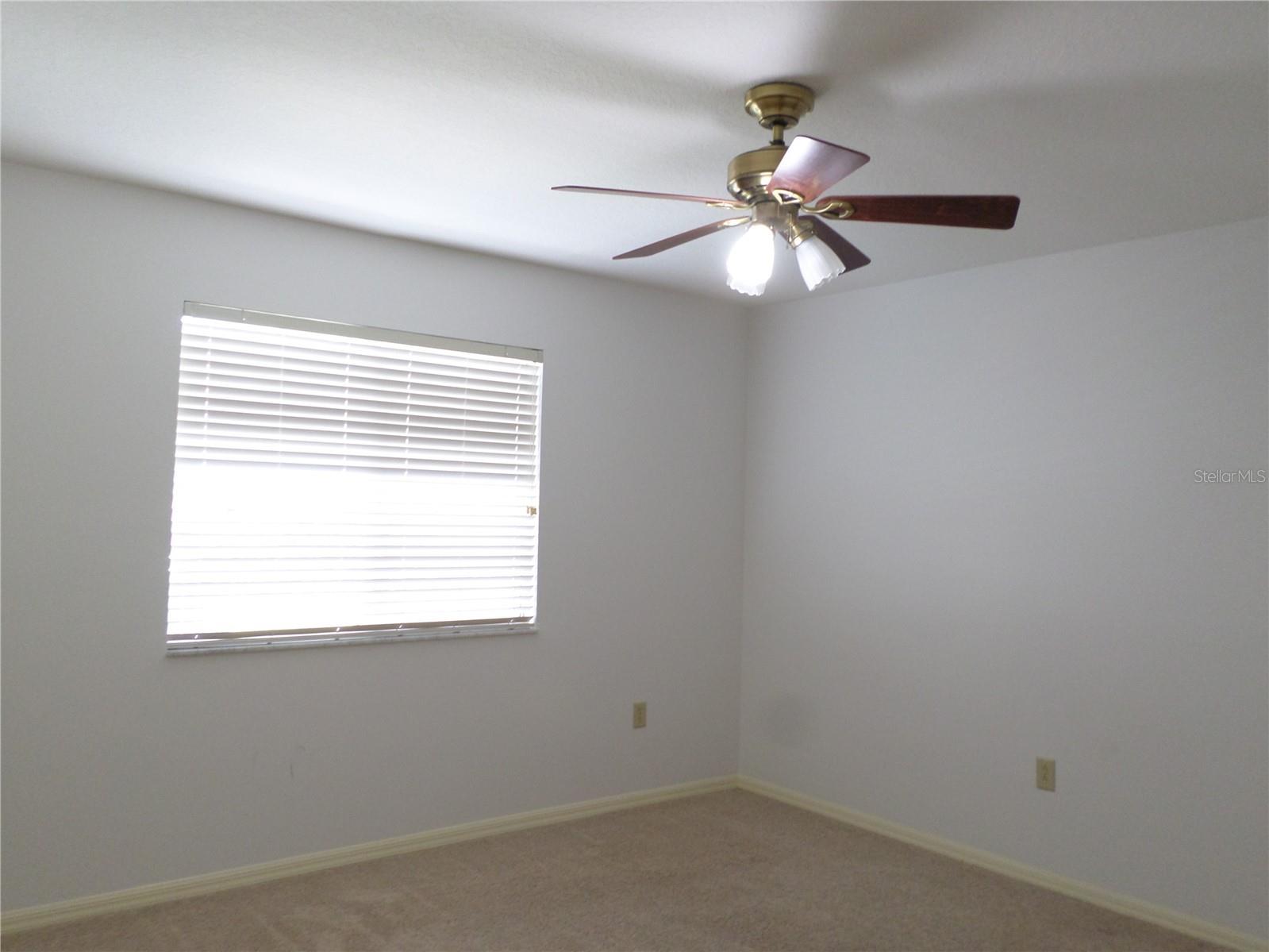 19407 Sandy Springs Circle Lutz FL 33558 TB8502393 image21