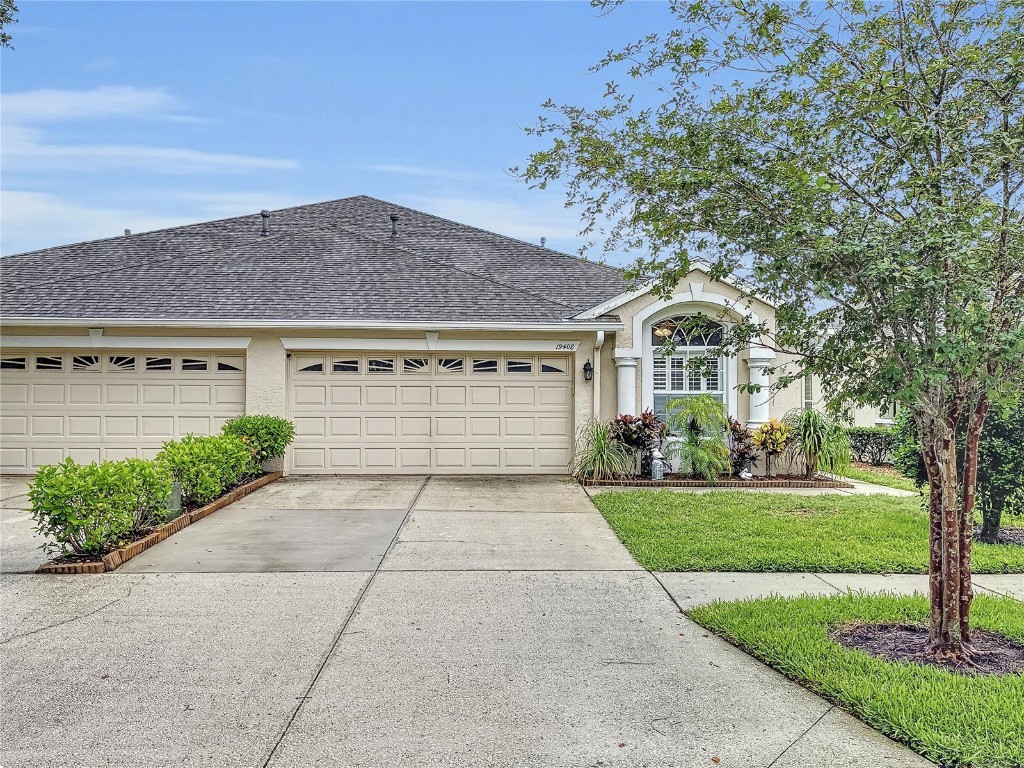 19408 Weymouth Drive Land O Lakes FL 34638 W7856034 image1