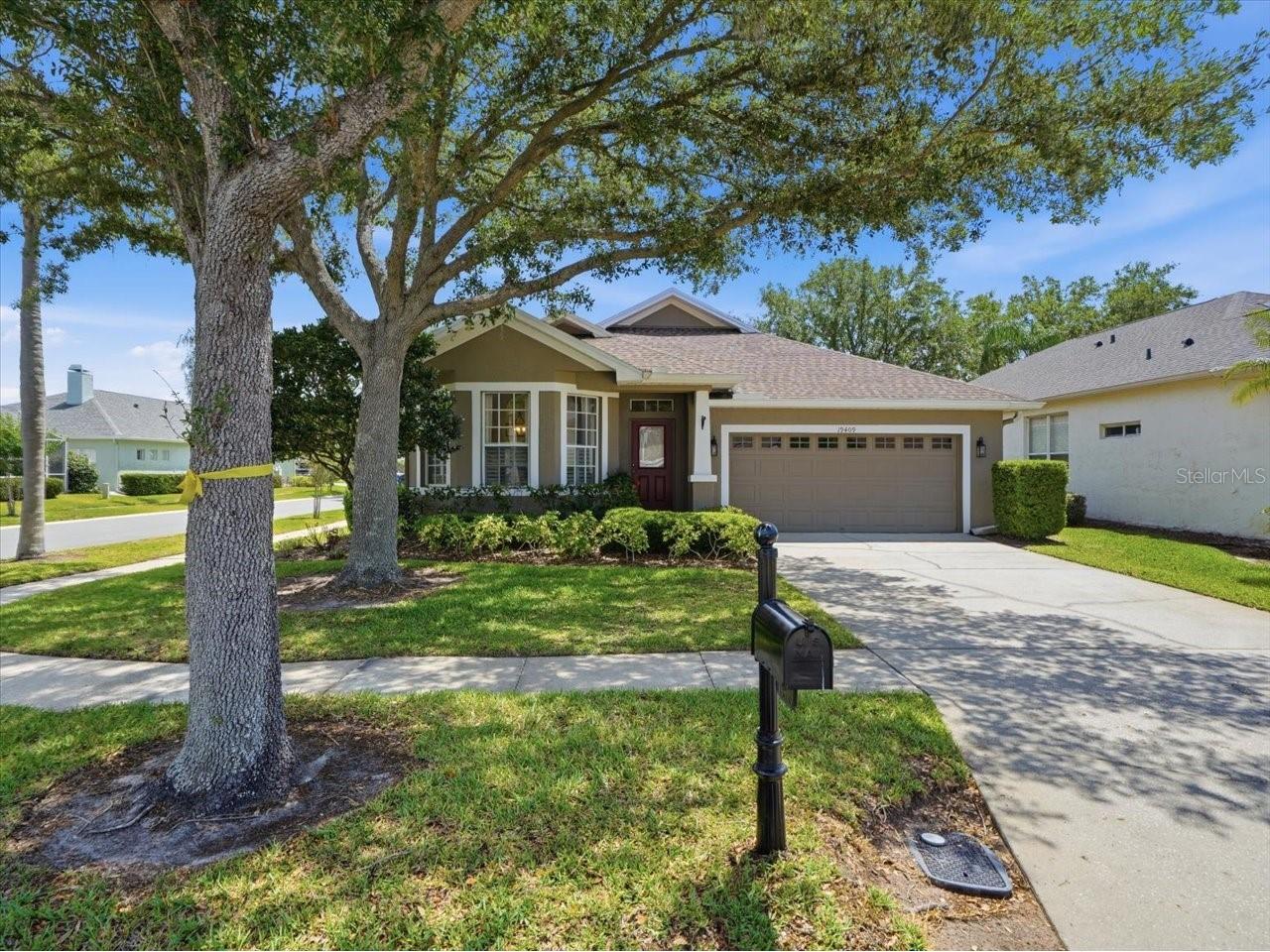 19409 Golden Slipper Place Lutz FL 33558 TB8506774 image1