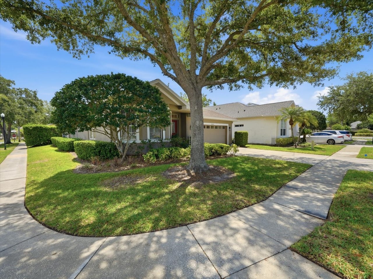 19409 Golden Slipper Place Lutz FL 33558 TB8506774 image2
