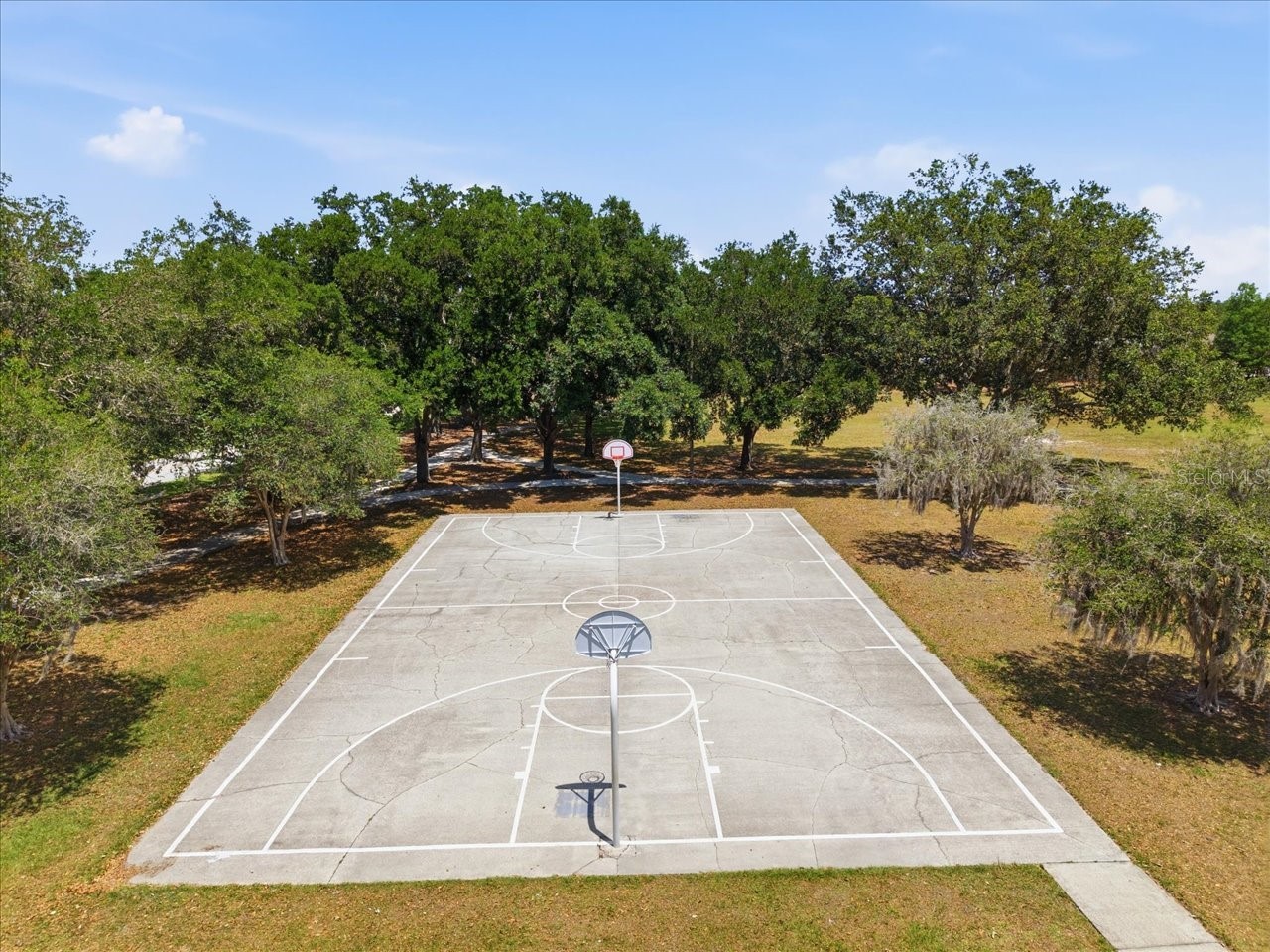19409 Golden Slipper Place Lutz FL 33558 TB8506774 image48