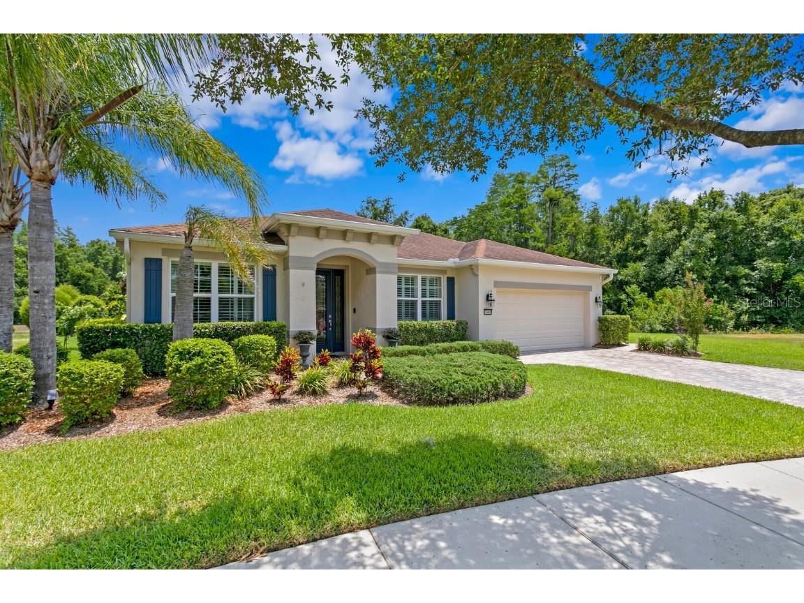19409 Wingrove Lane Lutz FL 33558 T3529515 image1