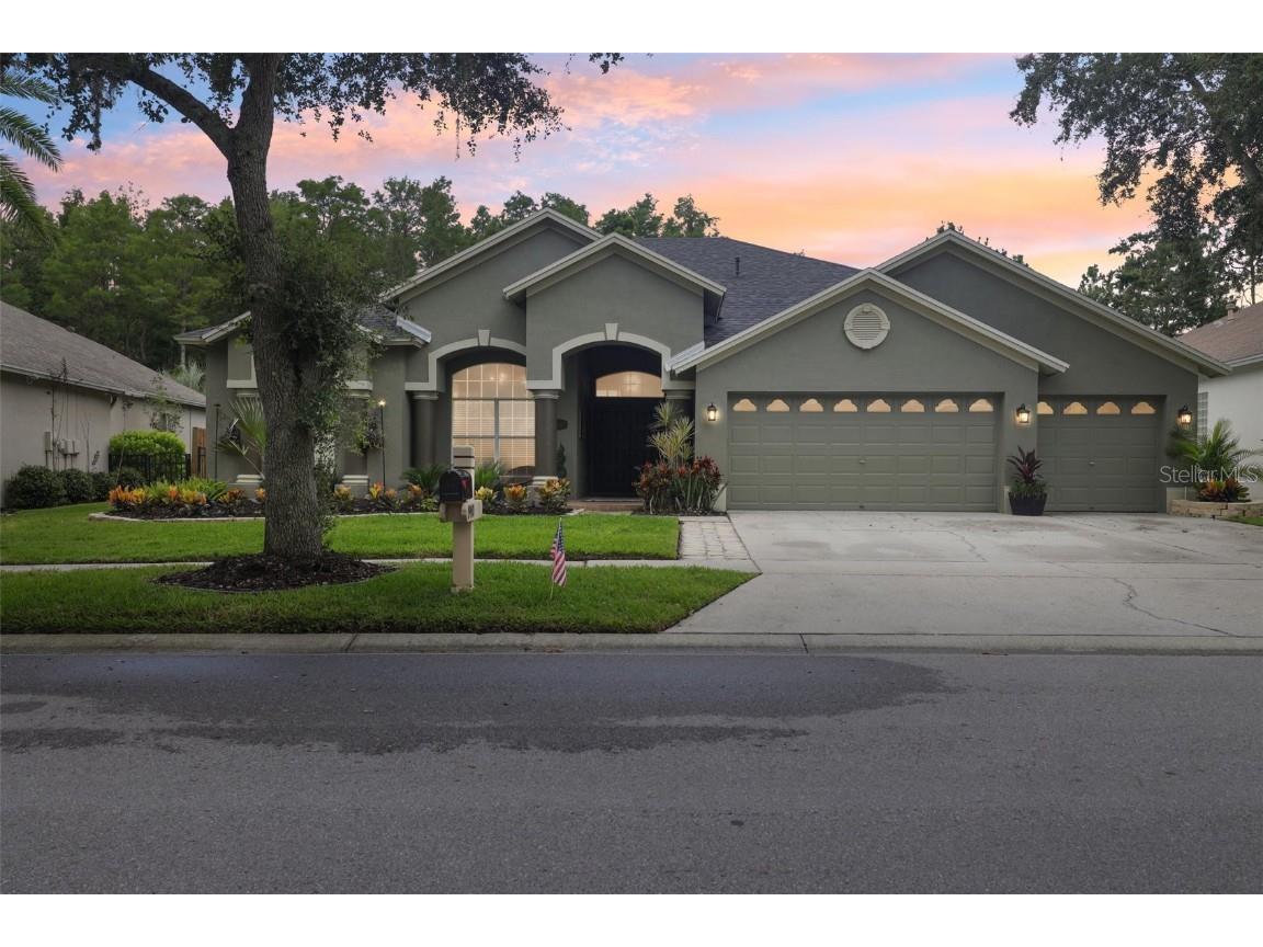 19410 French Lace Drive Lutz FL 33558 TB8405505 image1