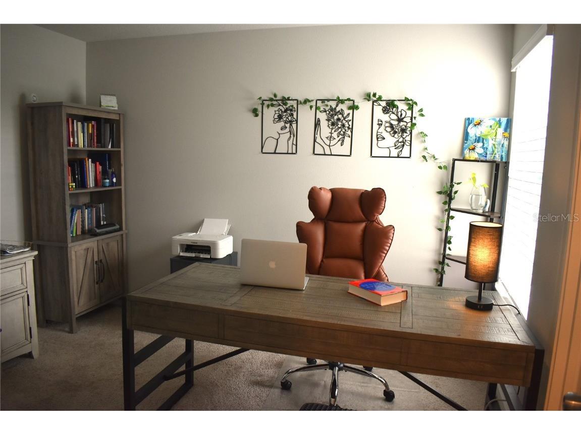 19411 Monarch Wind Way Lutz FL 33558 TB8453597 image5