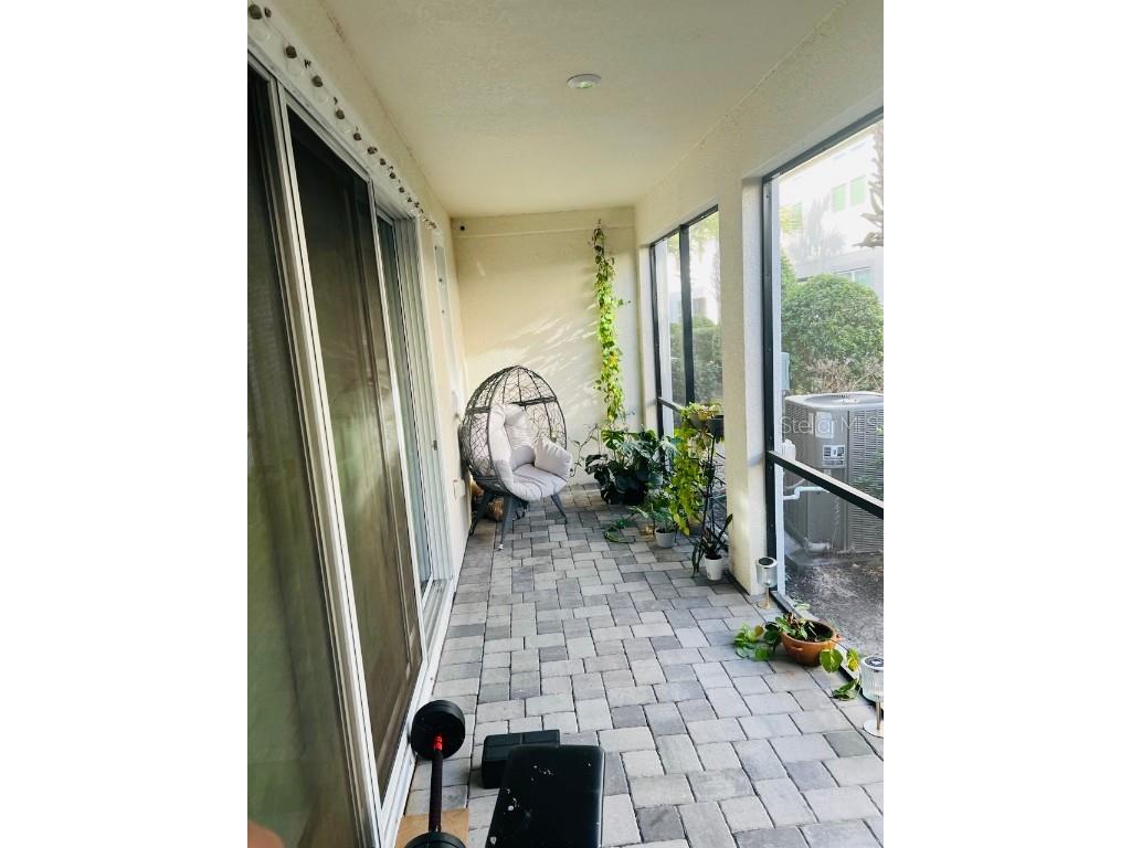 19411 Monarch Wind Way Lutz FL 33558 TB8453597 image9