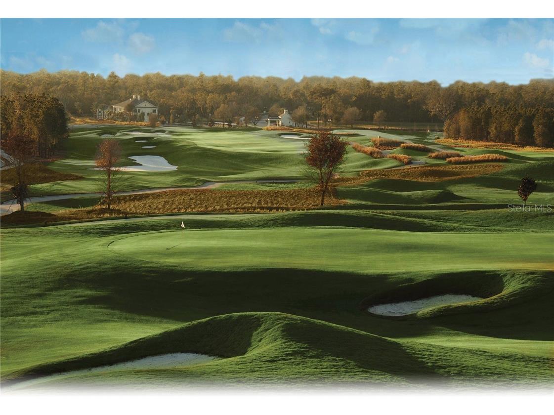 19411 Sheltered Hill Drive Brooksville FL 34601 T3548137 image13