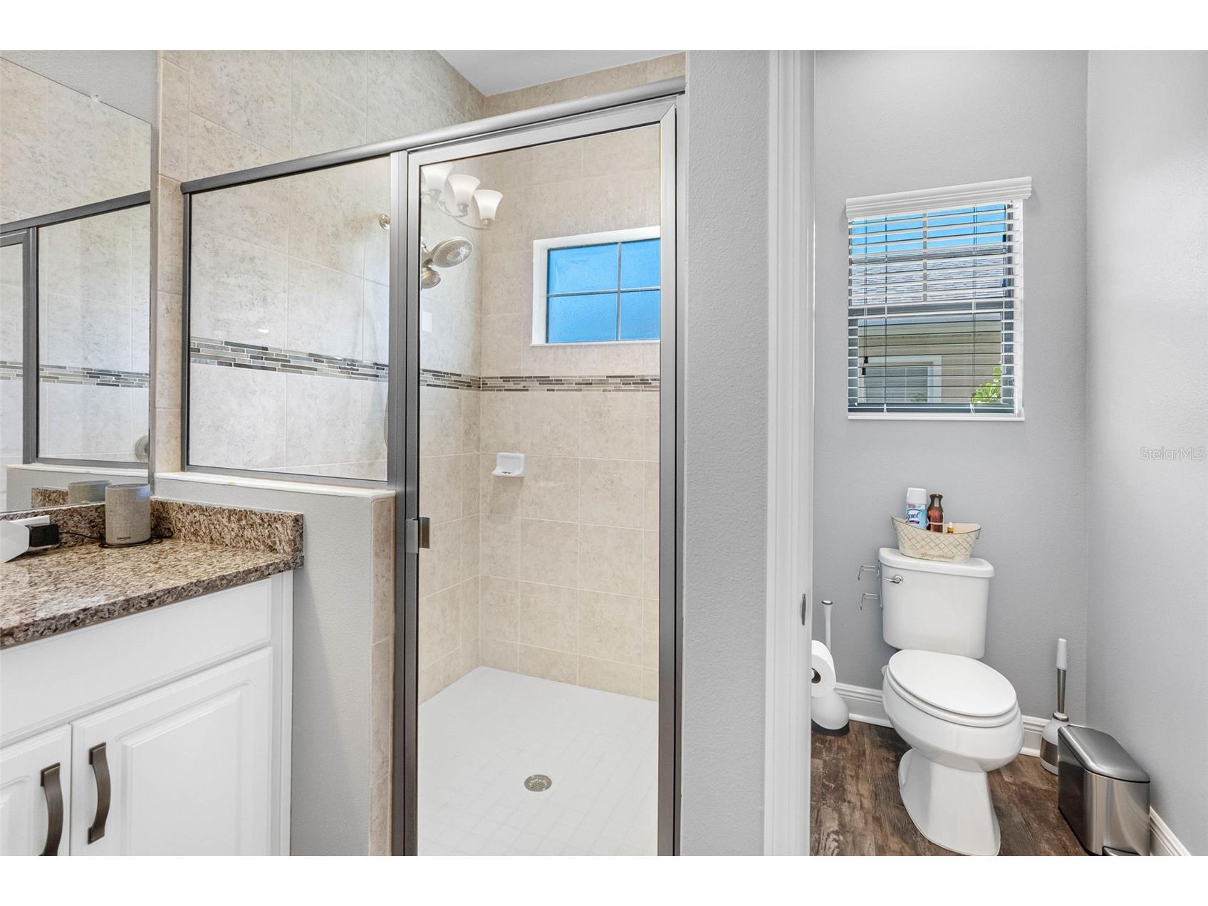 19412 Lonesome Pine Drive Land O Lakes FL 34638 TB8469460 image30