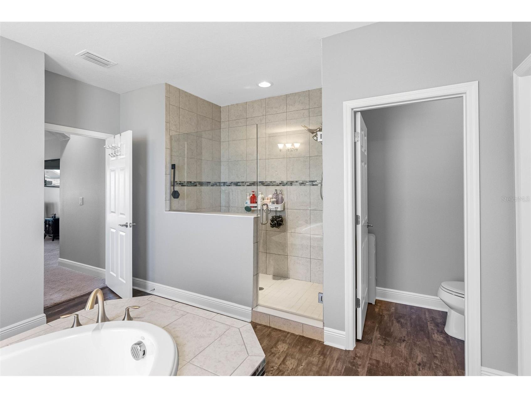 19412 Lonesome Pine Drive Land O Lakes FL 34638 TB8469460 image77