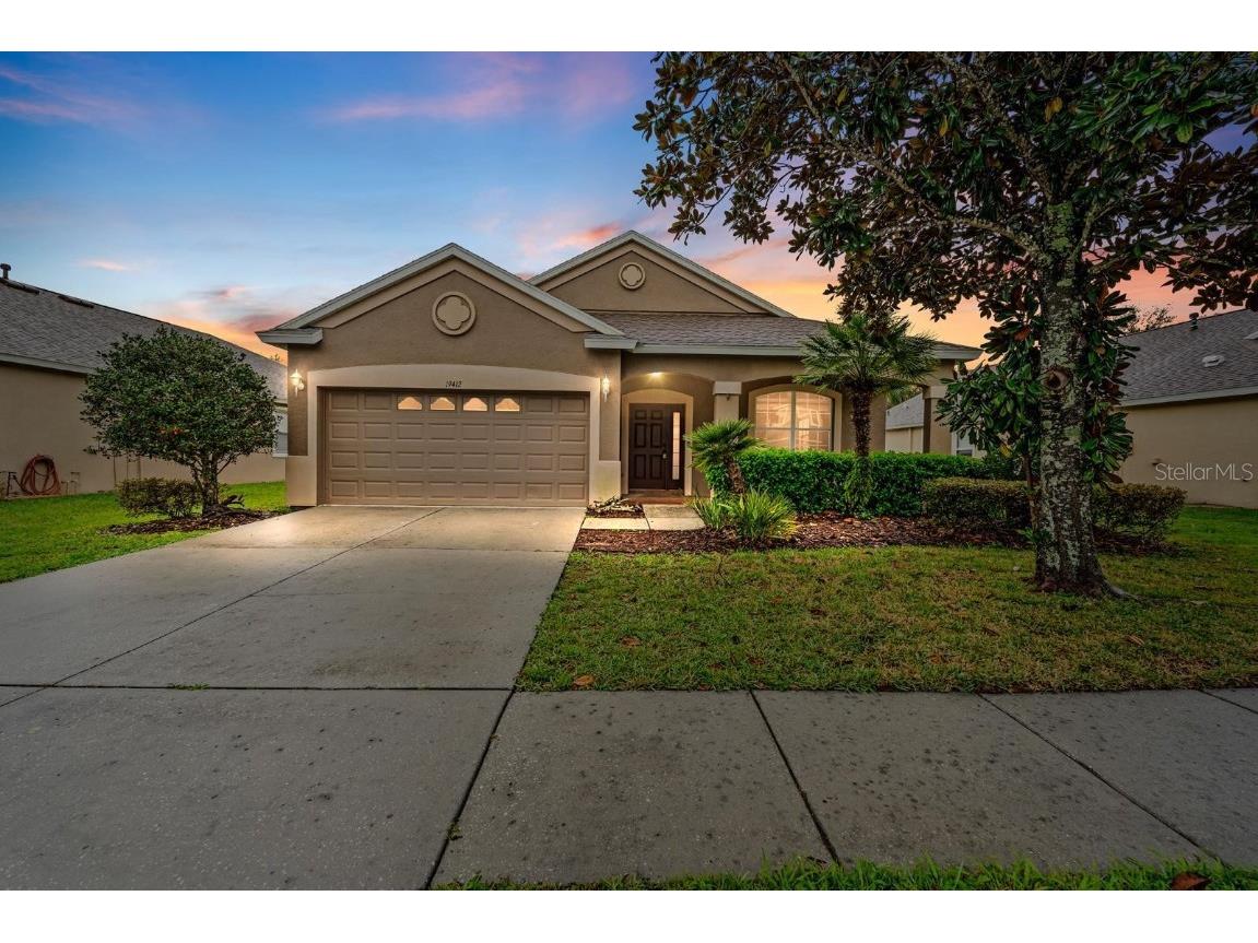 19412 Sunset Bay Drive Land O Lakes FL 34638 TB8308603 image1