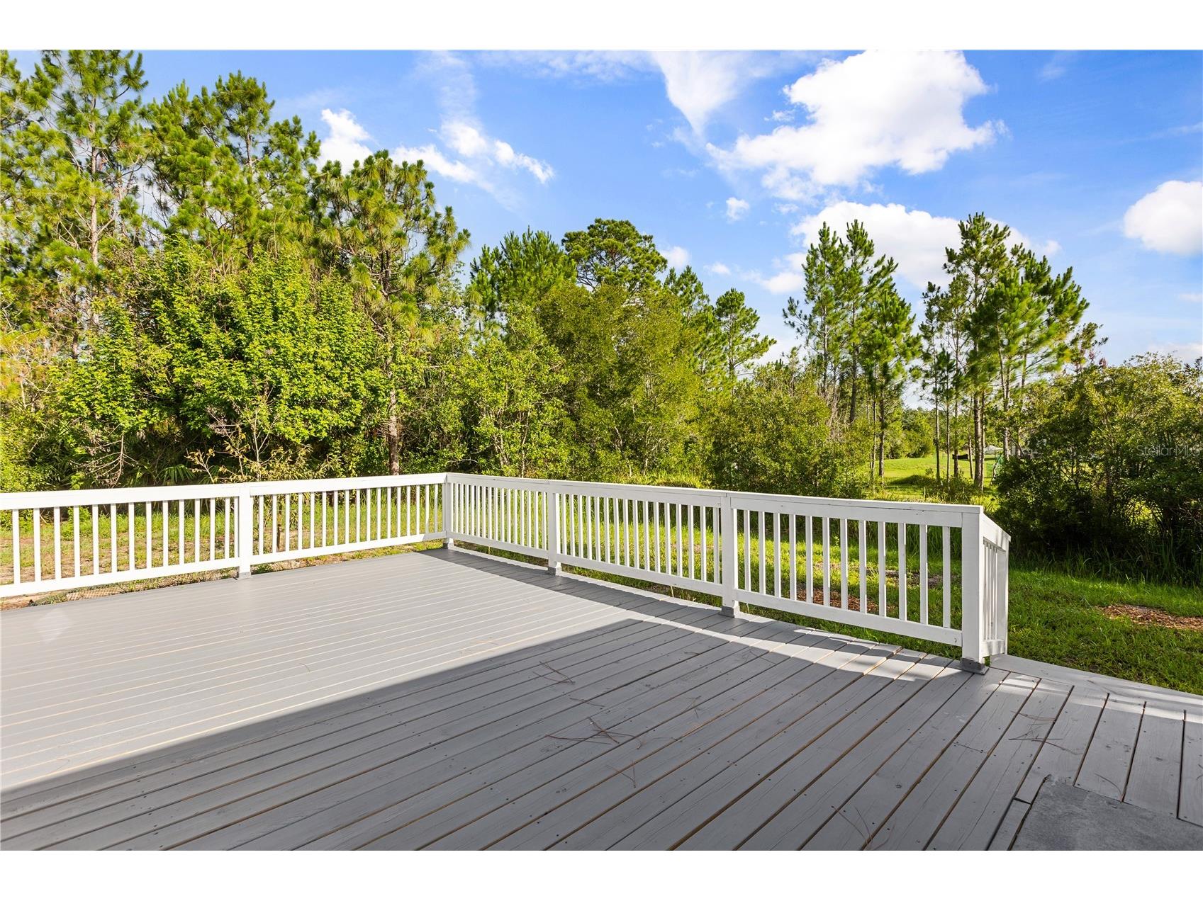 19413 Oberly Parkway Orlando FL 32833 S5152949 image29
