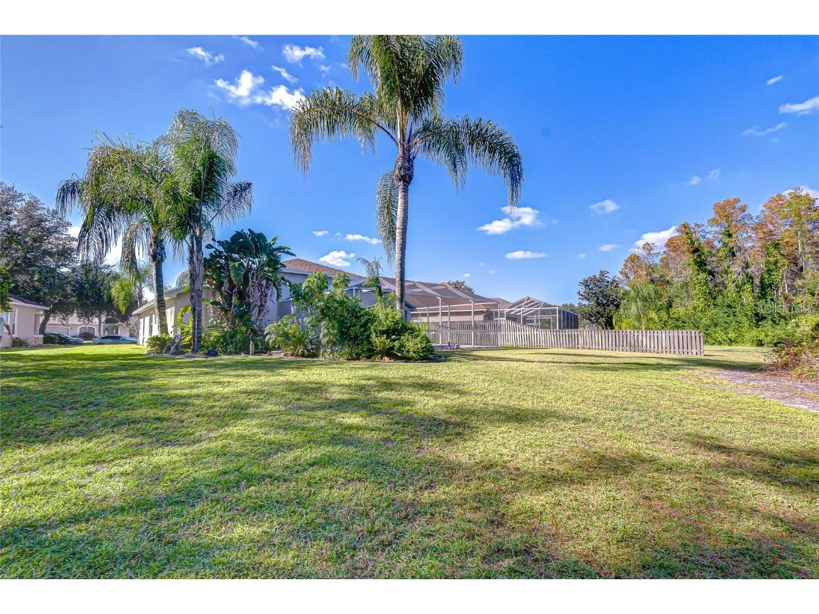 19414 Morden Blush Drive Lutz FL 33558 TB8449696 image10