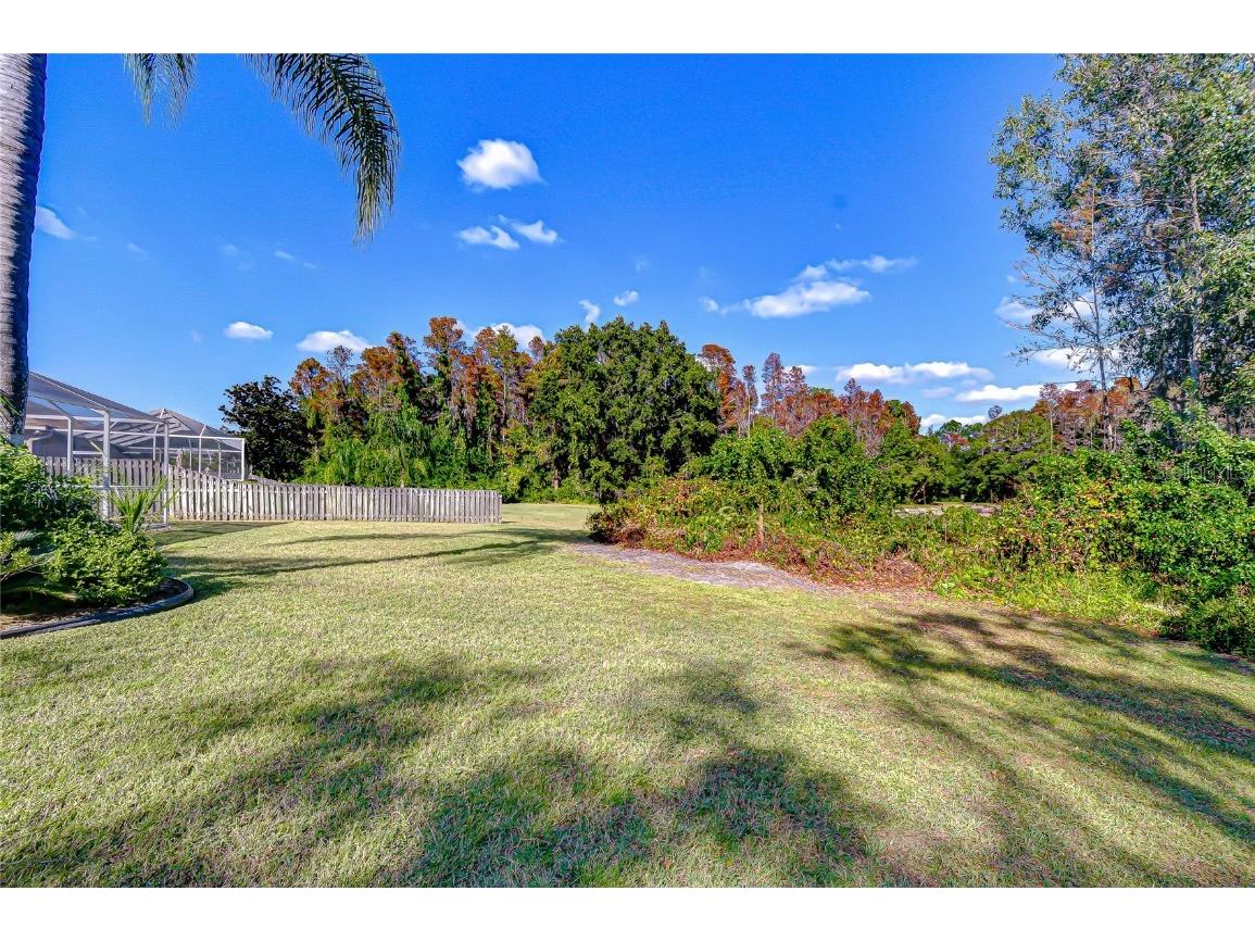 19414 Morden Blush Drive Lutz FL 33558 TB8449696 image11