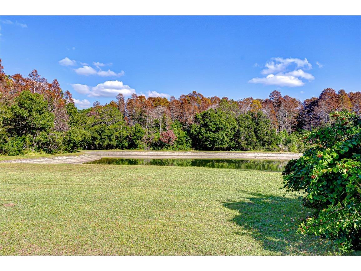 19414 Morden Blush Drive Lutz FL 33558 TB8449696 image12