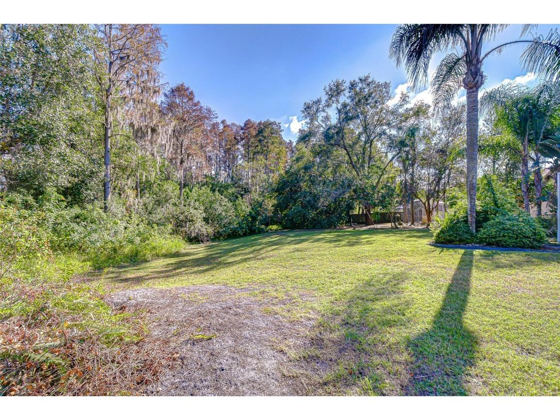 19414 Morden Blush Drive Lutz FL 33558 TB8449696 image13