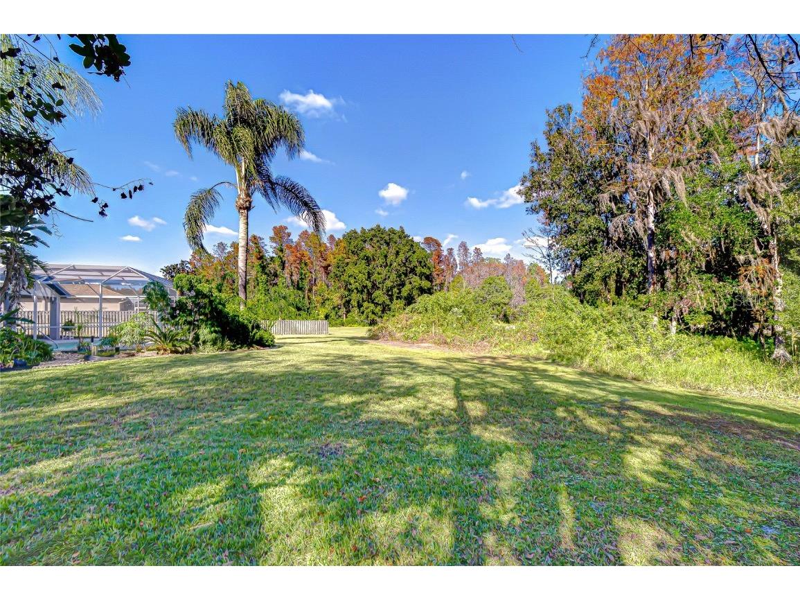 19414 Morden Blush Drive Lutz FL 33558 TB8449696 image14