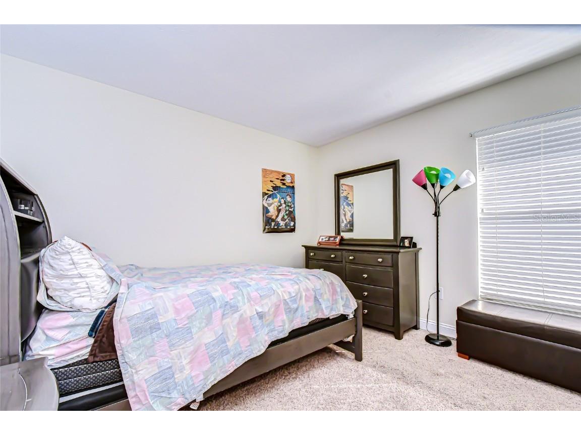 19414 Morden Blush Drive Lutz FL 33558 TB8449696 image18