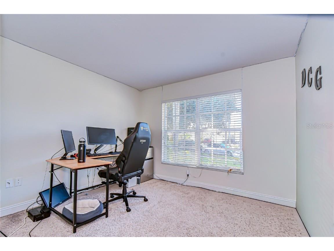 19414 Morden Blush Drive Lutz FL 33558 TB8449696 image20