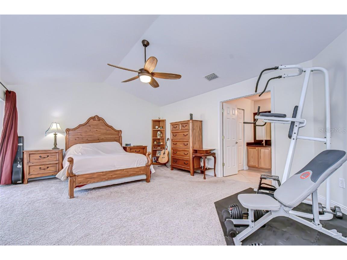 19414 Morden Blush Drive Lutz FL 33558 TB8449696 image29