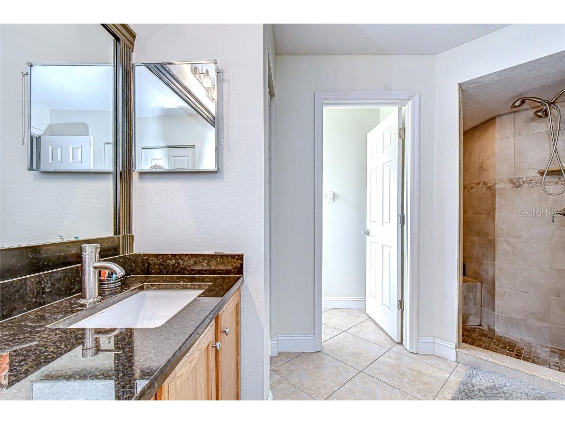 19414 Morden Blush Drive Lutz FL 33558 TB8449696 image31