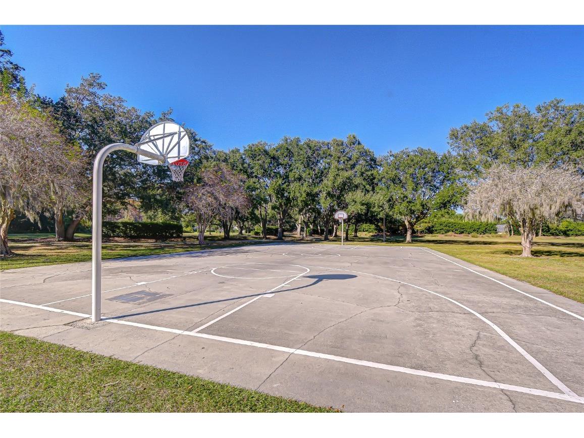 19414 Morden Blush Drive Lutz FL 33558 TB8449696 image35