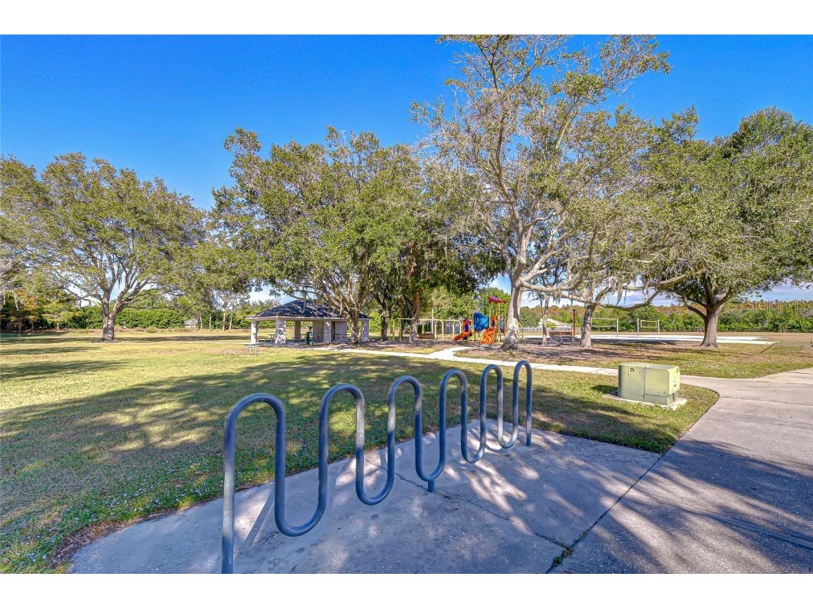 19414 Morden Blush Drive Lutz FL 33558 TB8449696 image36