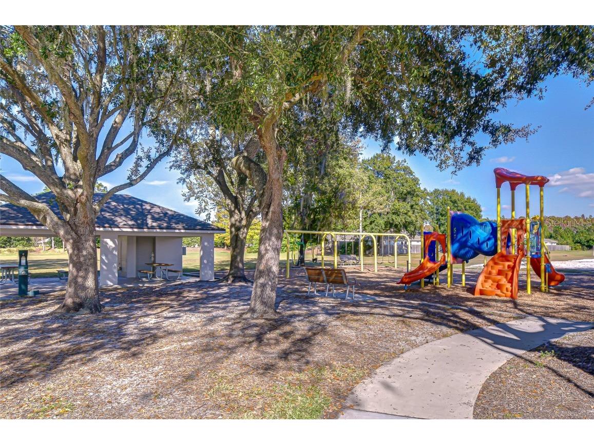 19414 Morden Blush Drive Lutz FL 33558 TB8449696 image37